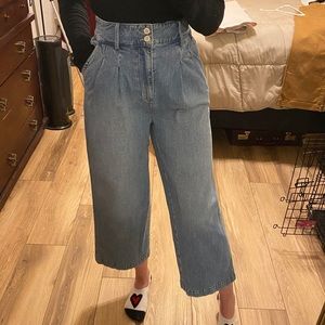 Madewell Pleated Wide-leg Jeans